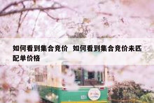 如何看到集合竞价  如何看到集合竞价未匹配单价格