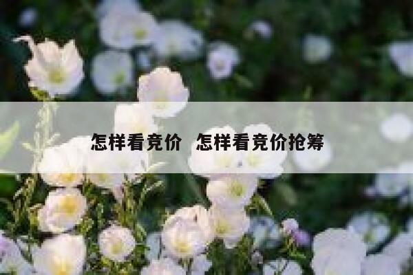 怎样看竞价  怎样看竞价抢筹
