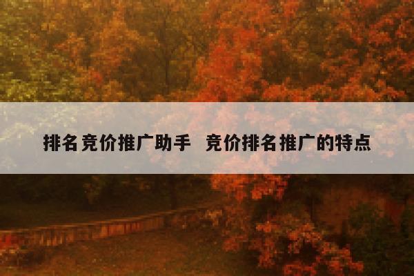 排名竞价推广助手  竞价排名推广的特点
