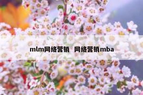 mlm网络营销  网络营销mba
