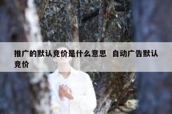 推广的默认竞价是什么意思  自动广告默认竞价