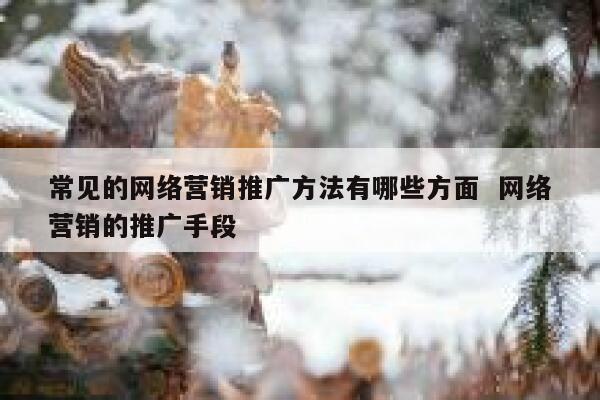 常见的网络营销推广方法有哪些方面  网络营销的推广手段
