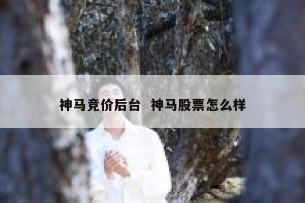 神马竞价后台  神马股票怎么样