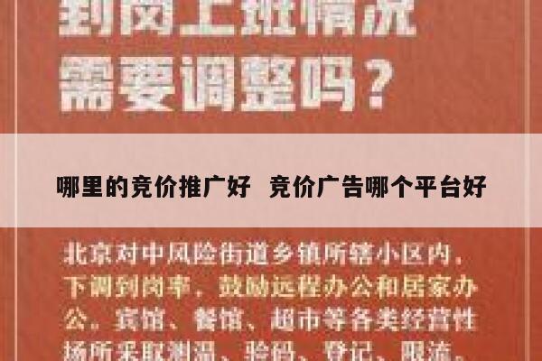 哪里的竞价推广好  竞价广告哪个平台好