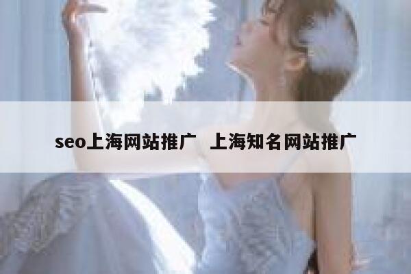 seo上海网站推广  上海知名网站推广