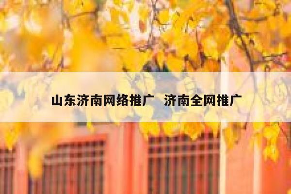 山东济南网络推广  济南全网推广