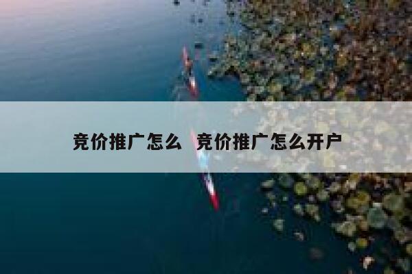 竞价推广怎么  竞价推广怎么开户