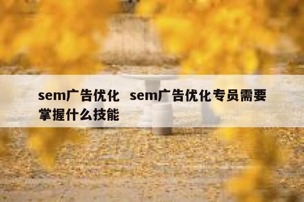 sem广告优化  sem广告优化专员需要掌握什么技能