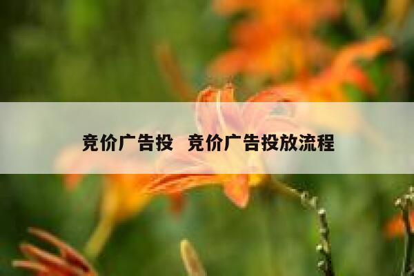 竞价广告投  竞价广告投放流程