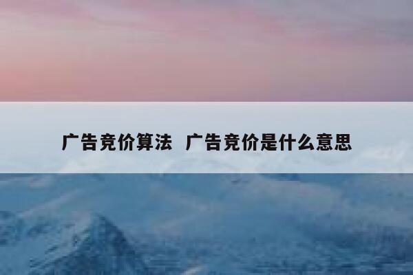 广告竞价算法  广告竞价是什么意思