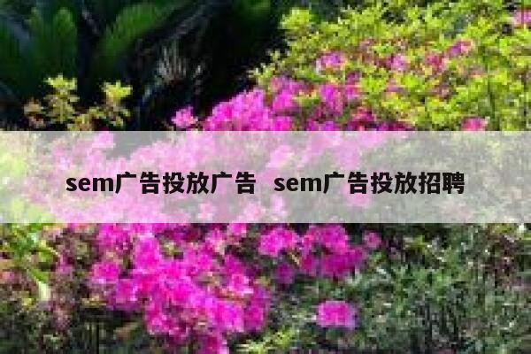 sem广告投放广告  sem广告投放招聘