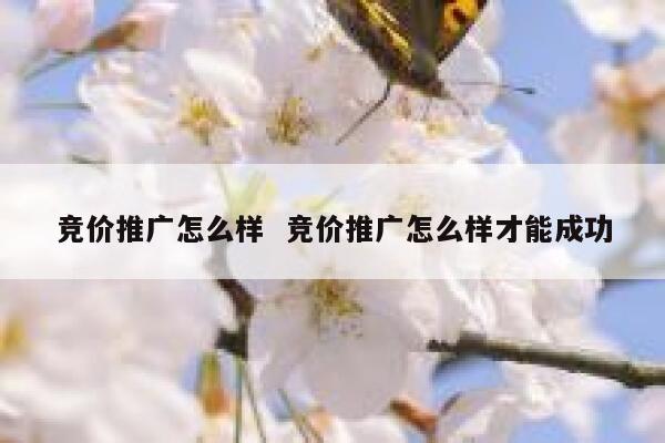 竞价推广怎么样  竞价推广怎么样才能成功
