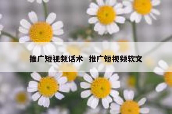 推广短视频话术  推广短视频软文