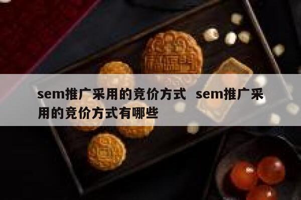 sem推广采用的竞价方式  sem推广采用的竞价方式有哪些