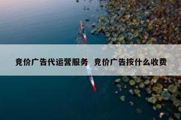 竞价广告代运营服务  竞价广告按什么收费