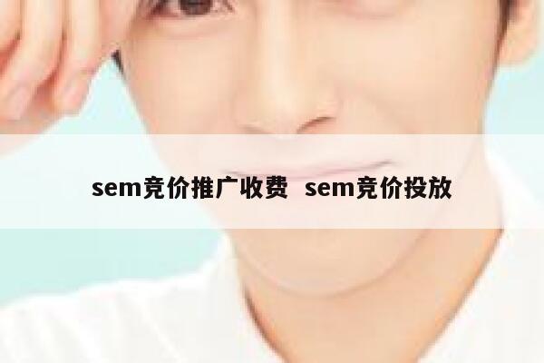 sem竞价推广收费  sem竞价投放