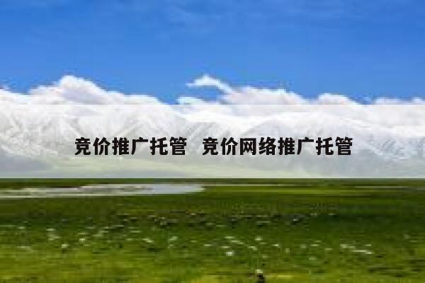 竞价推广托管  竞价网络推广托管