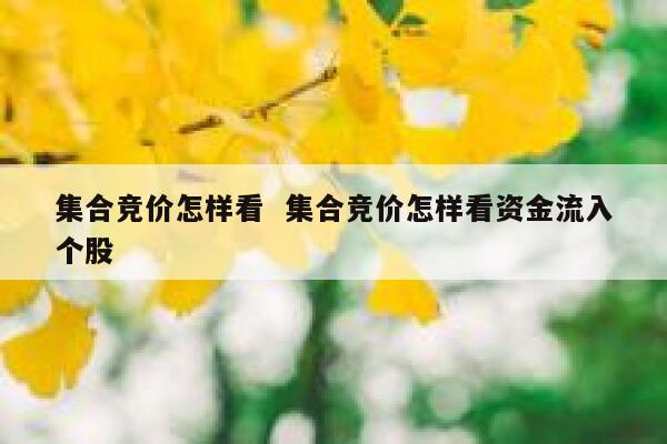 集合竞价怎样看  集合竞价怎样看资金流入个股