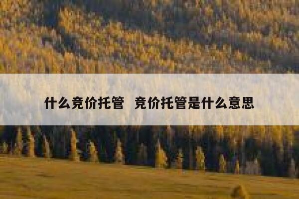 什么竞价托管  竞价托管是什么意思
