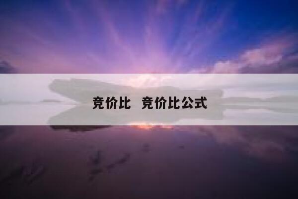 竞价比  竞价比公式