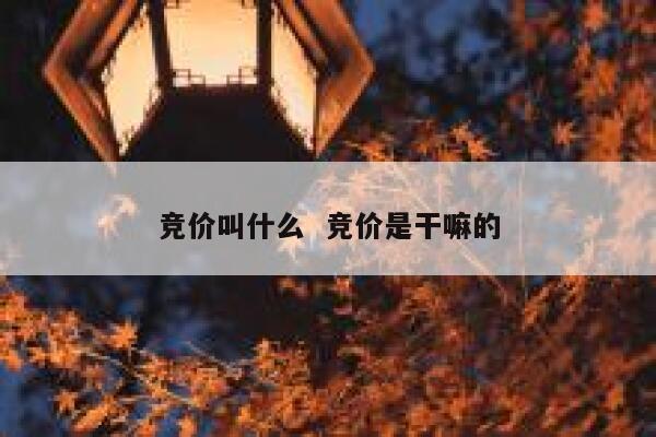竞价叫什么  竞价是干嘛的
