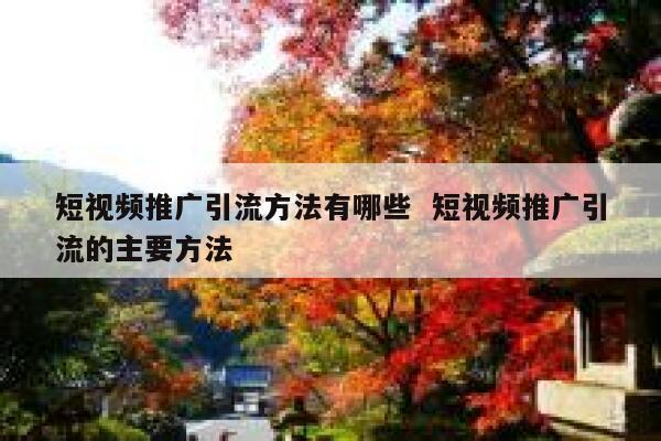 短视频推广引流方法有哪些  短视频推广引流的主要方法