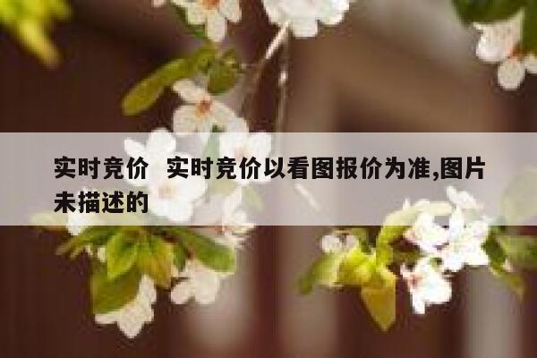 实时竞价  实时竞价以看图报价为准,图片未描述的