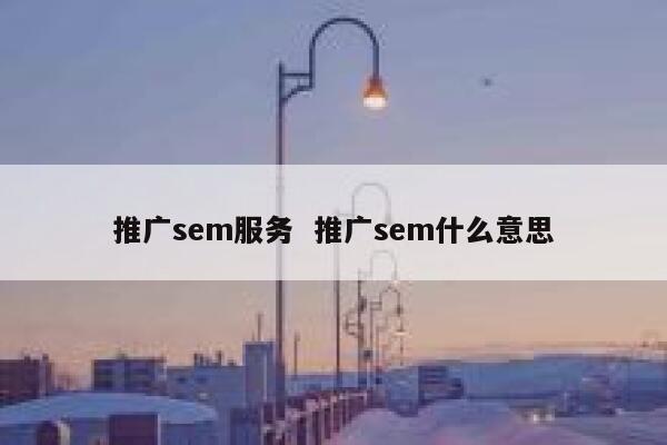 推广sem服务  推广sem什么意思