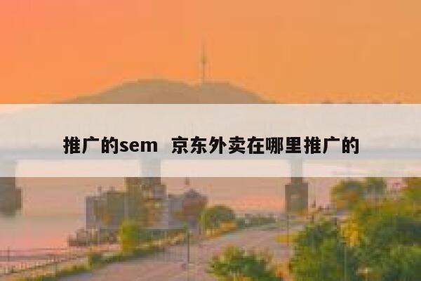 推广的sem  京东外卖在哪里推广的