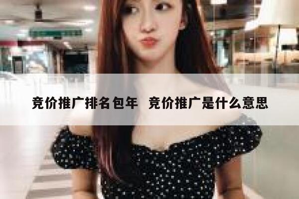 竞价推广排名包年  竞价推广是什么意思 第1张
