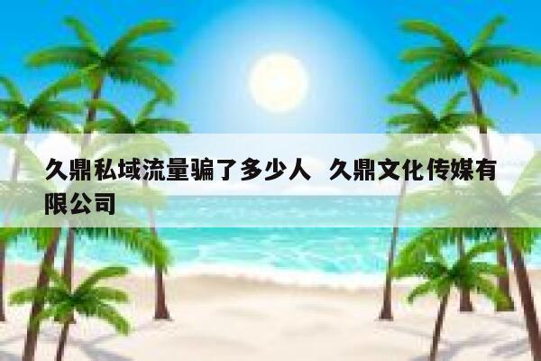 久鼎私域流量骗了多少人  久鼎文化传媒有限公司