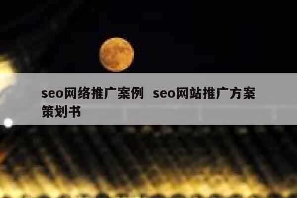seo网络推广案例  seo网站推广方案策划书 第1张