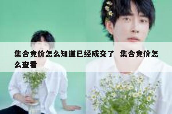 集合竞价怎么知道已经成交了  集合竞价怎么查看 第1张