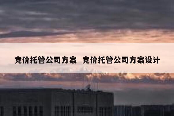 竞价托管公司方案  竞价托管公司方案设计