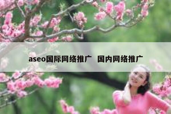 aseo国际网络推广  国内网络推广