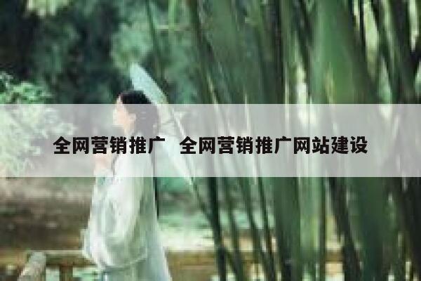 全网营销推广  全网营销推广网站建设