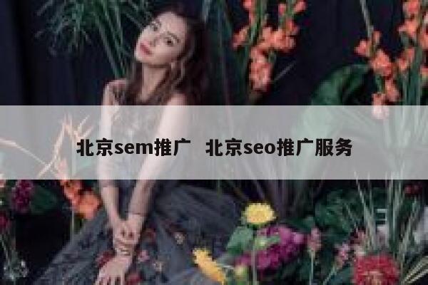 北京sem推广  北京seo推广服务