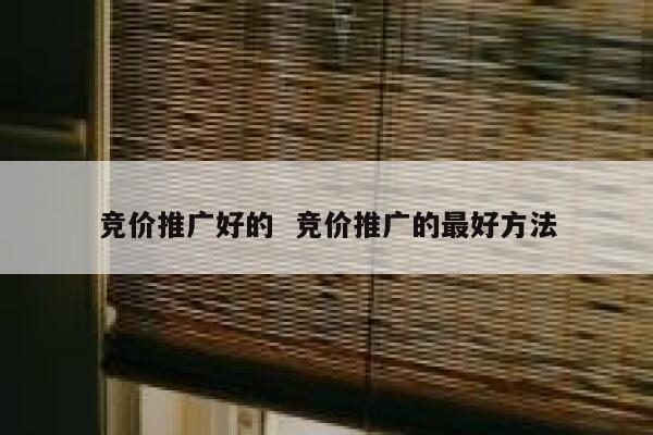 竞价推广好的  竞价推广的最好方法