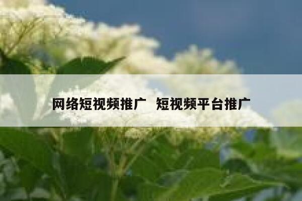 网络短视频推广  短视频平台推广 第1张