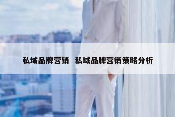 私域品牌营销  私域品牌营销策略分析