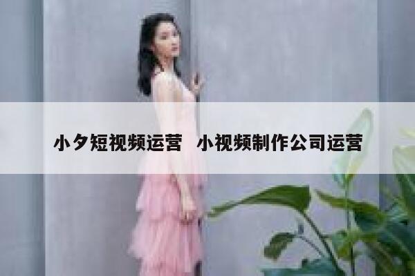 小夕短视频运营  小视频制作公司运营