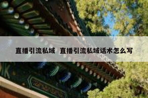 直播引流私域  直播引流私域话术怎么写