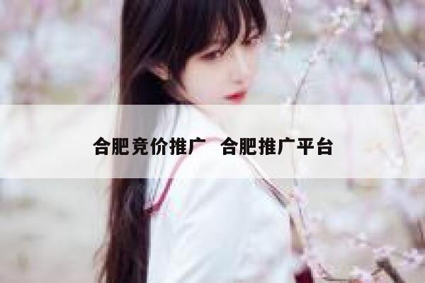 合肥竞价推广  合肥推广平台