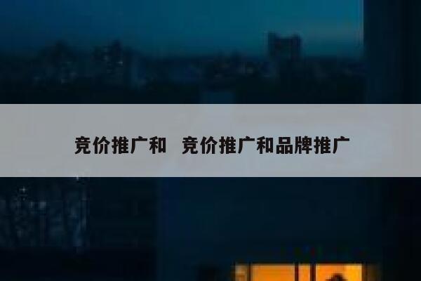 竞价推广和  竞价推广和品牌推广