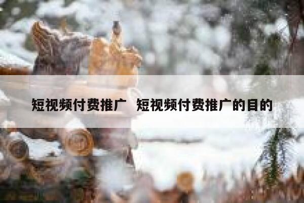 短视频付费推广  短视频付费推广的目的