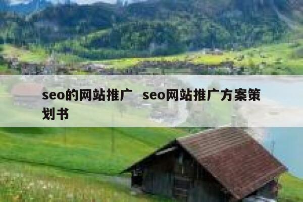 seo的网站推广  seo网站推广方案策划书