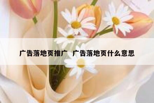 广告落地页推广  广告落地页什么意思 第1张