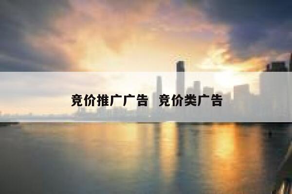 竞价推广广告  竞价类广告