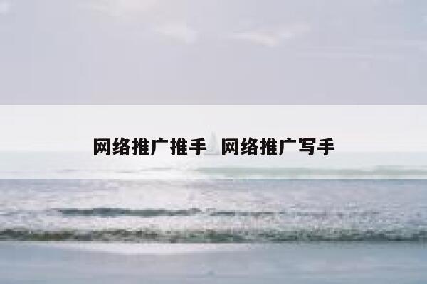 网络推广推手  网络推广写手 第1张