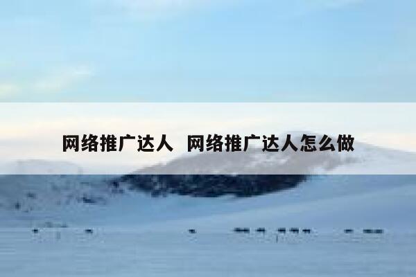 网络推广达人  网络推广达人怎么做